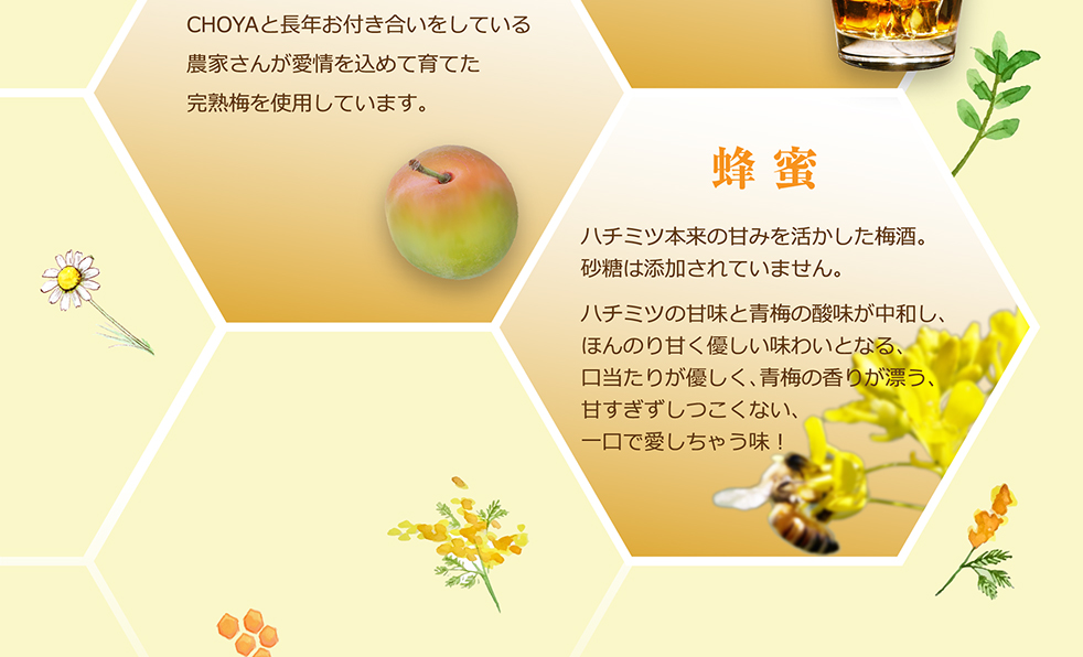 CHOYA 蜂蜜梅酒