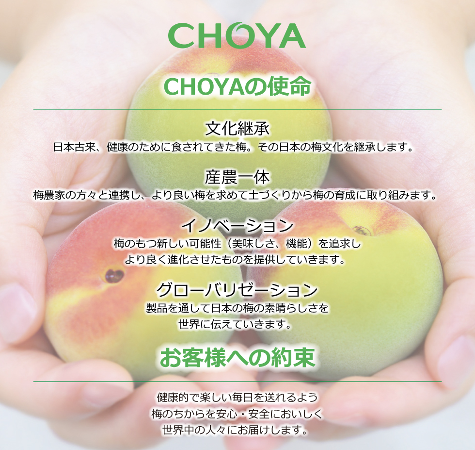 CHOYA 企業情報