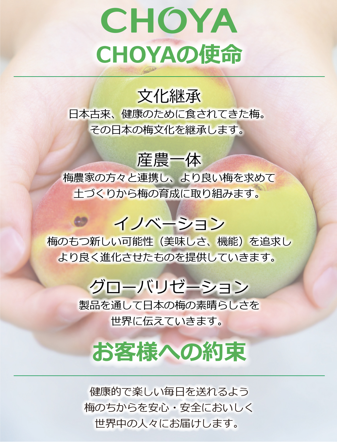 CHOYA 企業情報